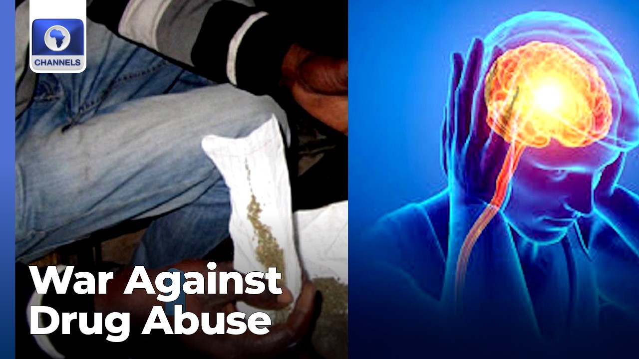 NGO, NDLEA, Taraba Govt Partner To Tame Substance Abuse