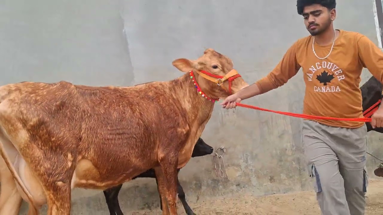 9815359107