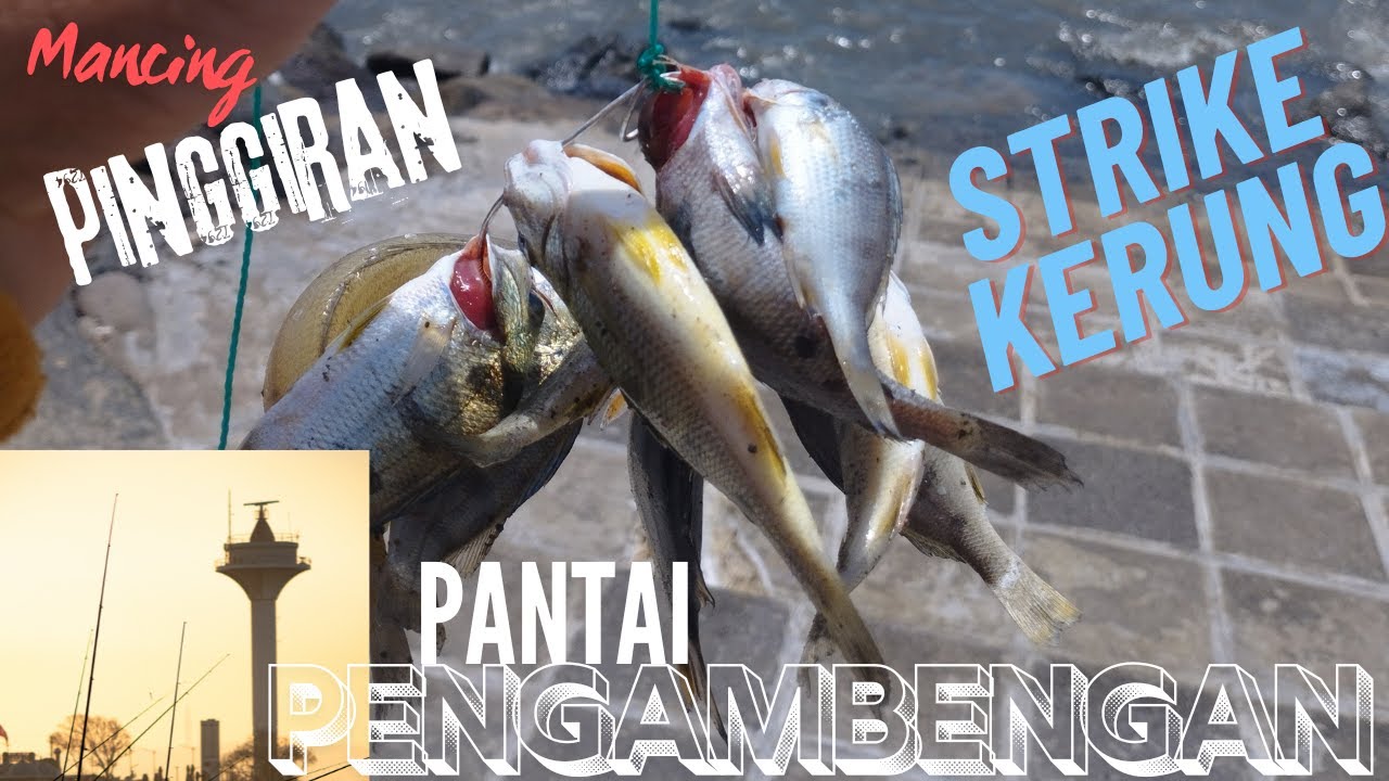 Mancing Pantai Pengambengan | Strike Kerung