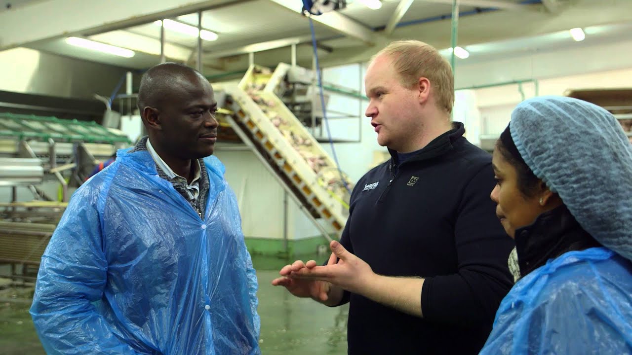 UNU-FTP and the importance of quality management in fish handling and processing