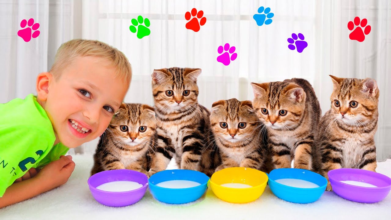 Влад и Ники играют с котятами.