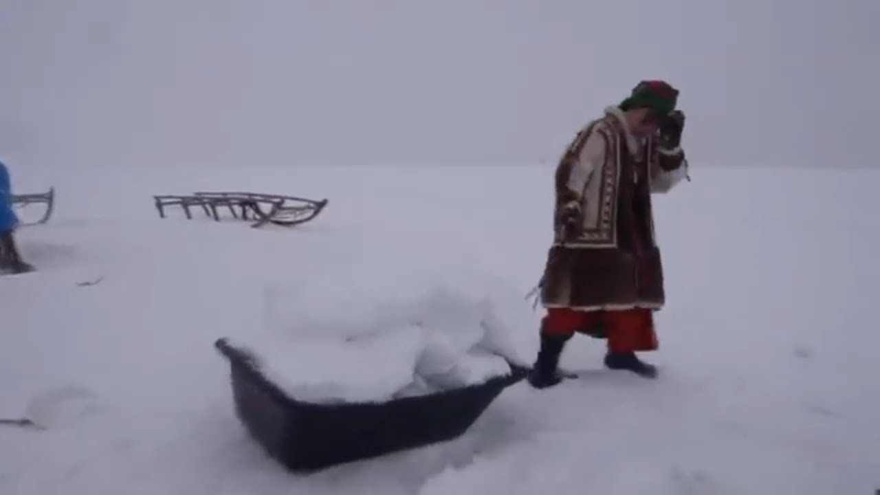 How do people survive in FAR NORTH of RUSSIA! Yamal  Nomads! Craziest People! Nomads Real Life 😍🐈🐱🙀🐈