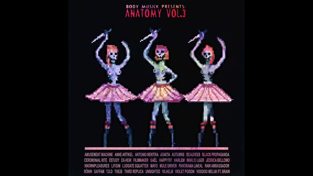 VARIOUS ARTISTS - ANATOMY VOL.3 [ALBUM MIX]
