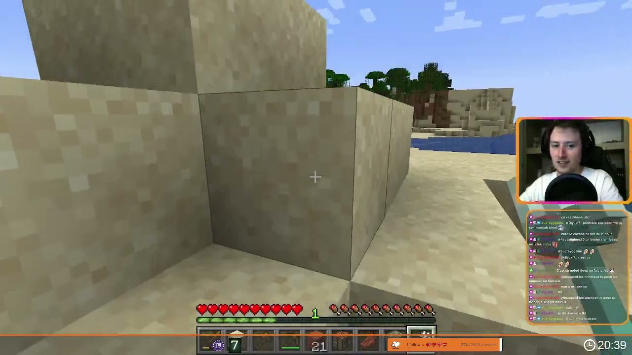 Petit solo survie dans Minecraft ? ça va bien se passer ! - Minecraft