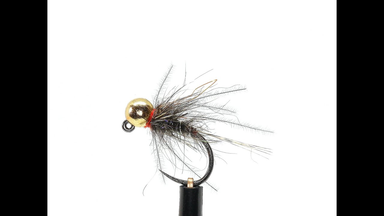 Goldblack nymph variant