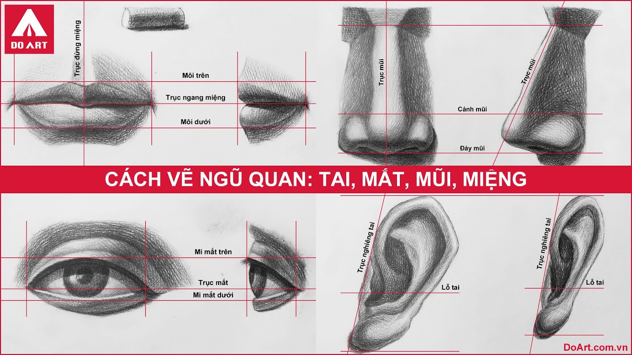 Cách vẽ Ngũ quan - Tai Mắt Mũi Miệng [DO ART]