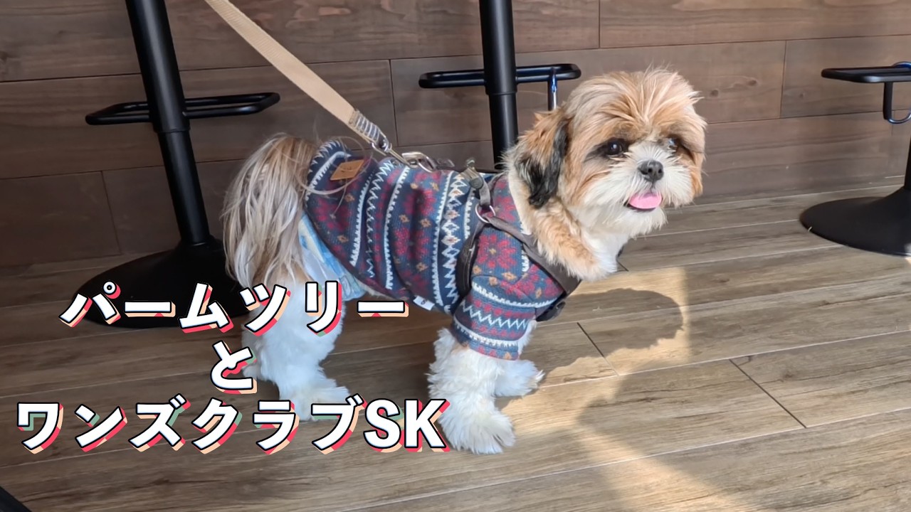 第５８話ドッグランでばったり（パームツリー＆ワンズクラブSK）