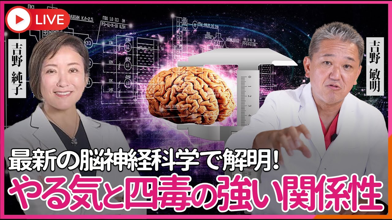 やる気が出ないのは性格でも怠けでもない！ 最新の脳神経科学が解明した、「やる気ブレーキ」の脳回路を強くする 甘い物や植物性油の過量摂取