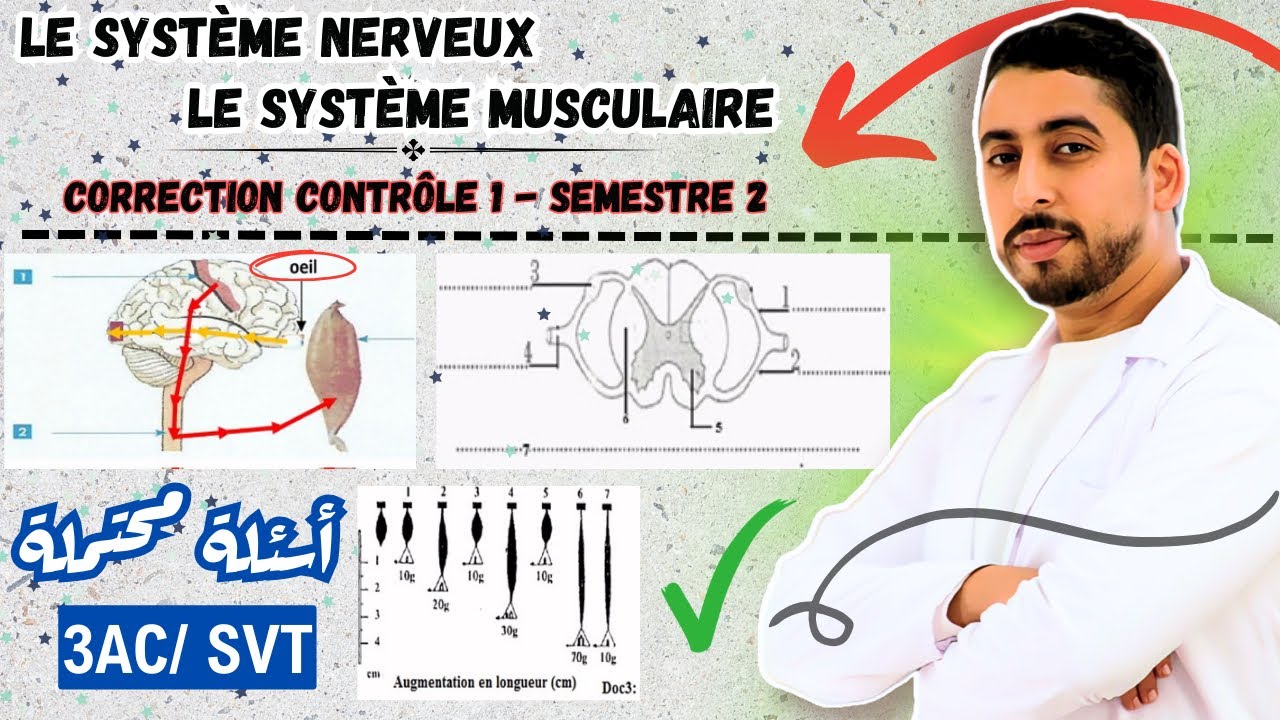 3AC : Contrôle 1 - Semestre 2 | Le système nerveux - Le système musculaire 🚨 SvT ⚠️