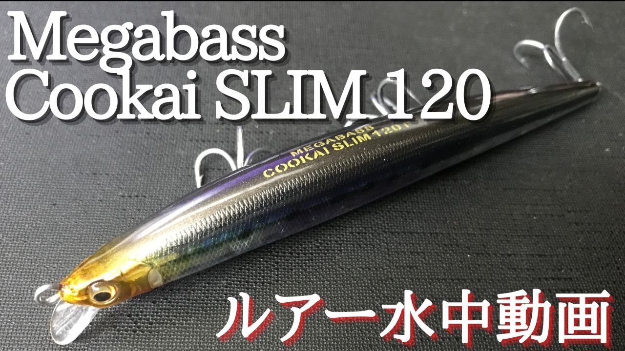 【Cookai SLIM 120】水中映像　「Megabass  Cookai SLIM 120F」（メガバス　クウカイスリム120）　ルアー水中動画
