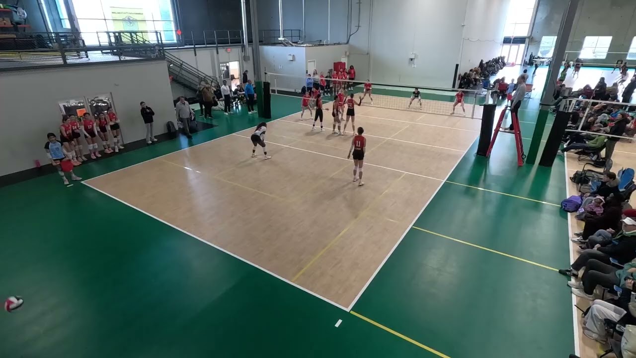 CJVA 14 Ruby G1