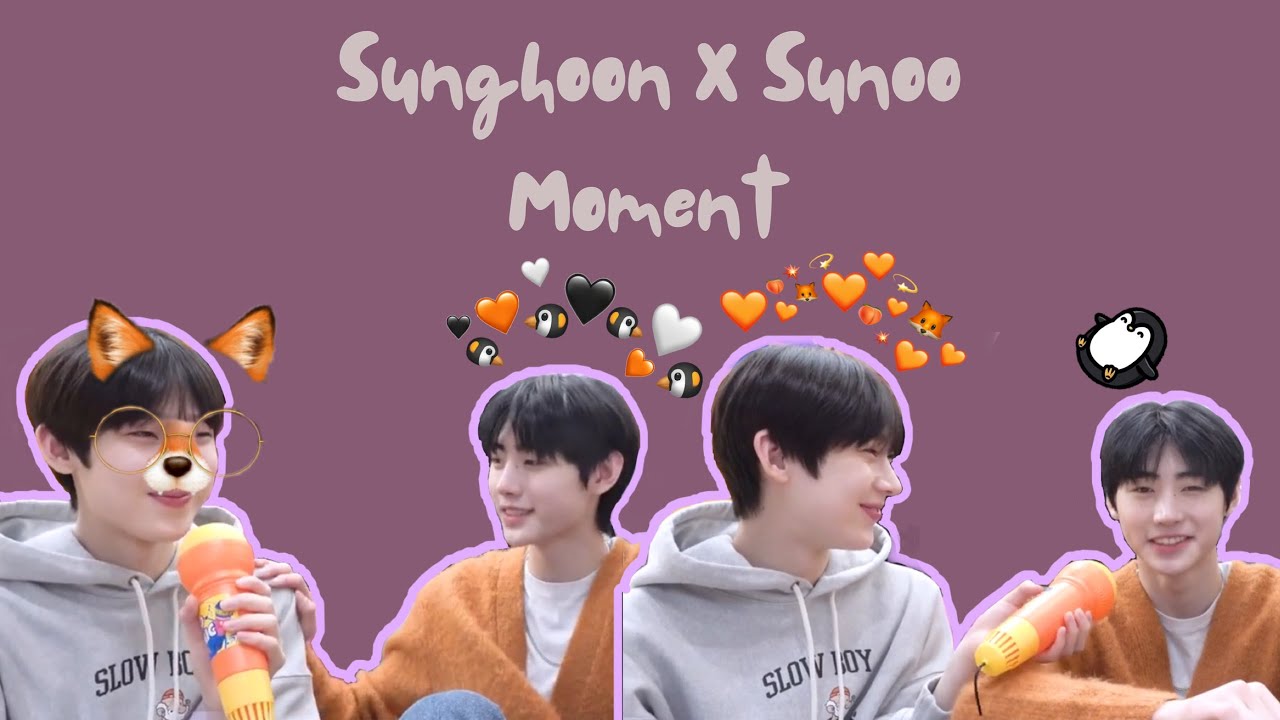 [ENHYPEN] Sunghoon X Sunoo moment | Monthly Review • SungSun Debut Trailer