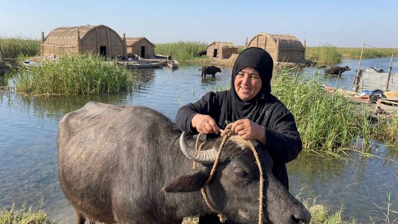 معقولة الإنسان العراقي توصل بي الحياة الهاي الدرجة 🤯 