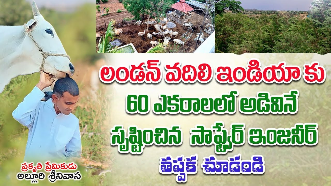 60 ఎకరాల అద్భుతం:  మానవతా విశ్వ విద్యాలయం- ఆర్గానిక్ ఫార్మింగ్ మరియు గోశాలా ప్రయాణం