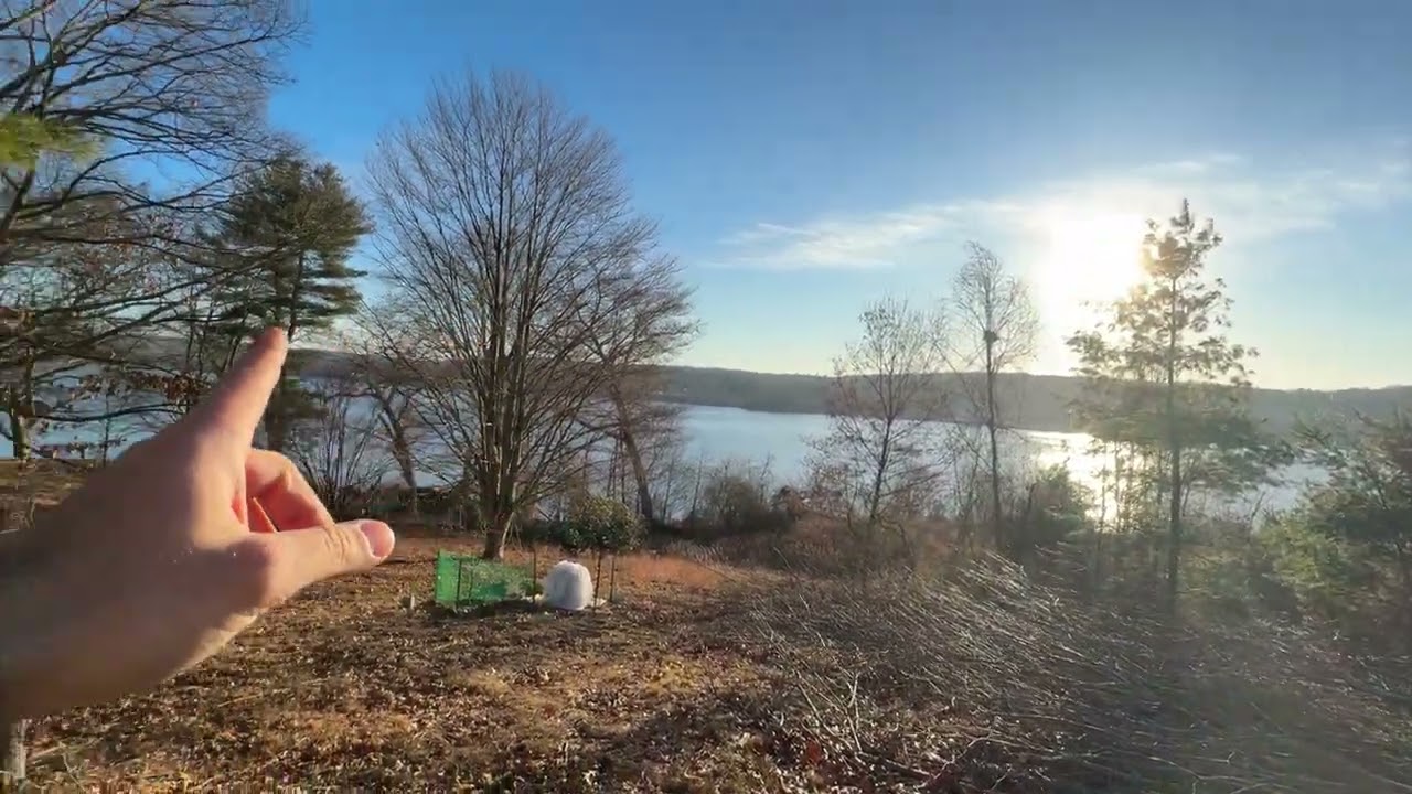 New England Zone pushing 12/21/25 