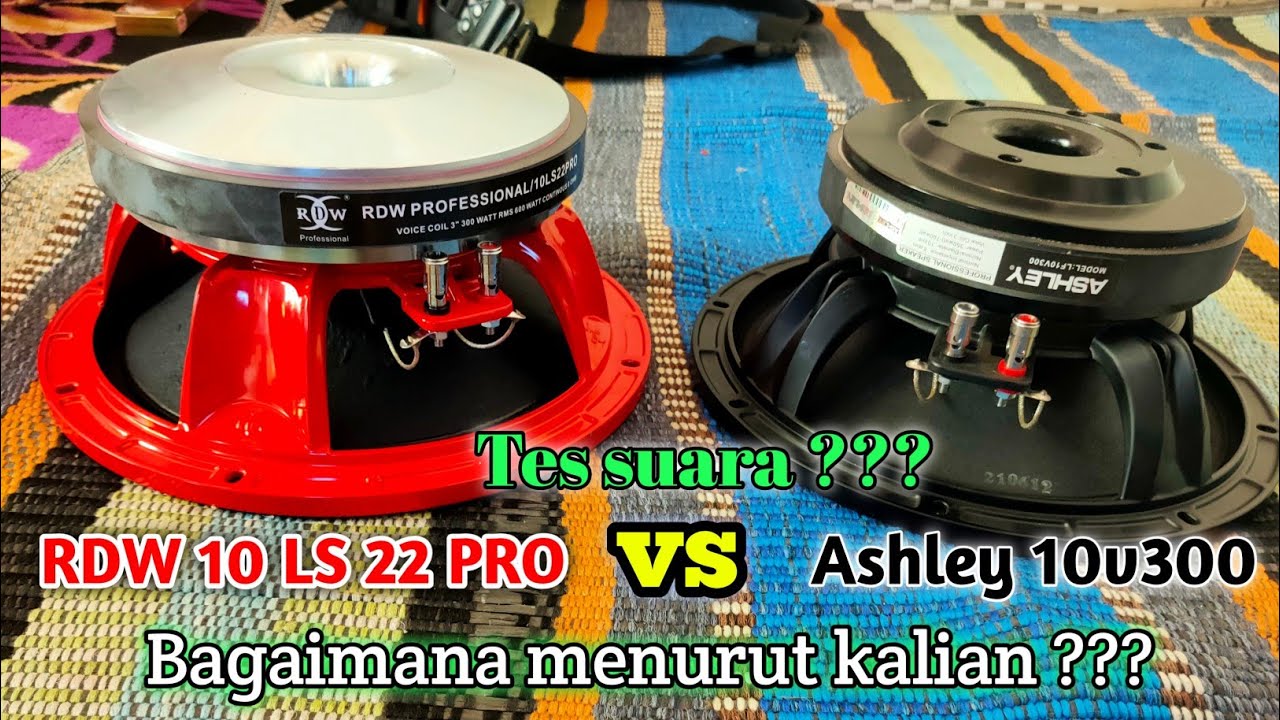 TES SUARA SPEAKER RDW 10 LS22 PRO VS ASHLEY 10V300