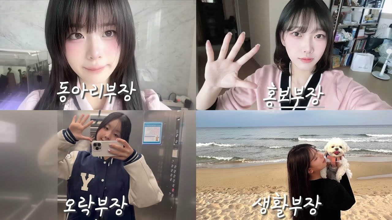 【연성대 세무회계과】  | 연성대학교 | 세무회계과 | 대학생