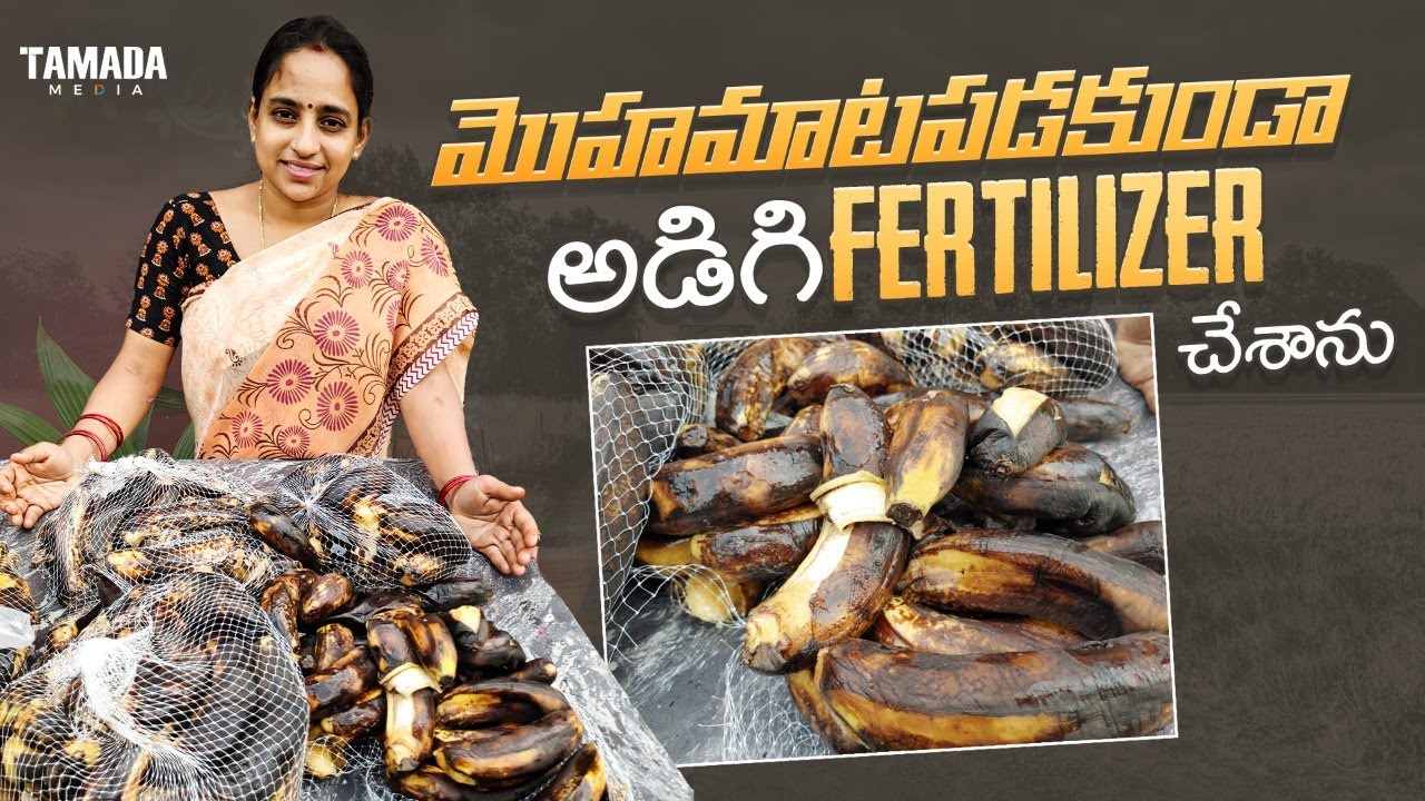 ORGANIC FERTILIZER'S | Best Fertilizers for plants | || TELUGU GARDEN VLOG