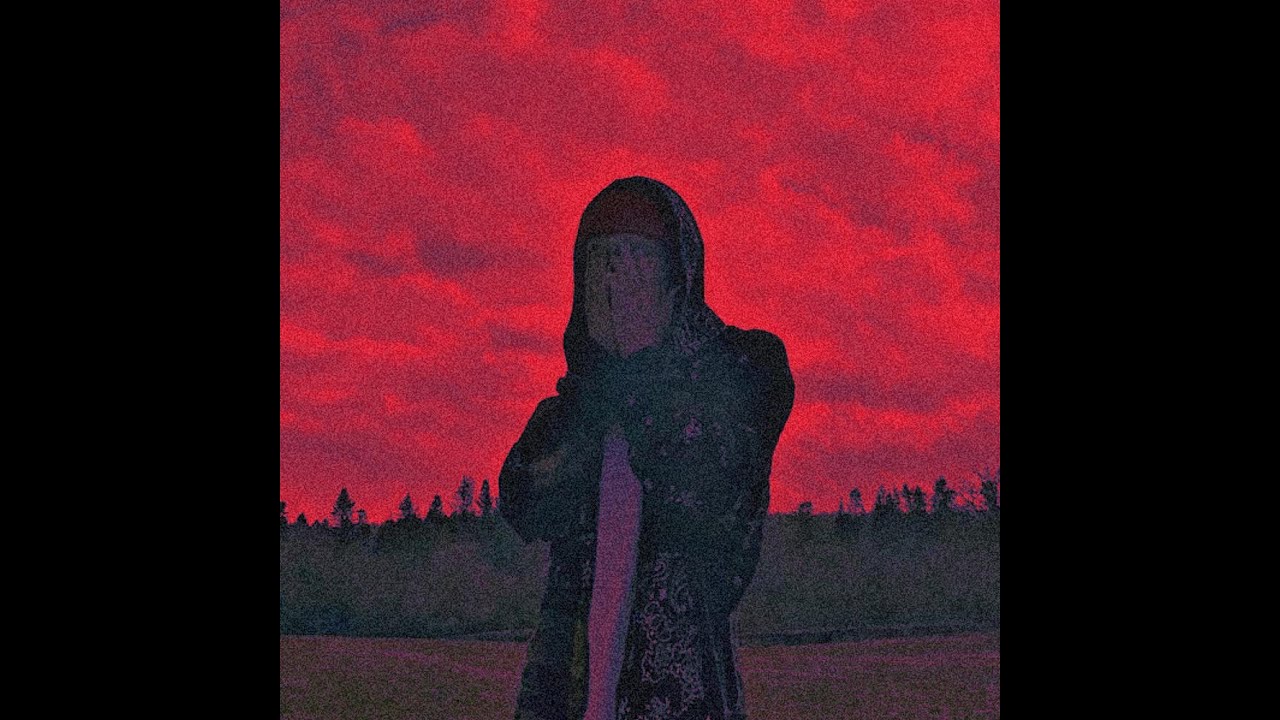 dillanl1 - agony (prod.808liebhaber)