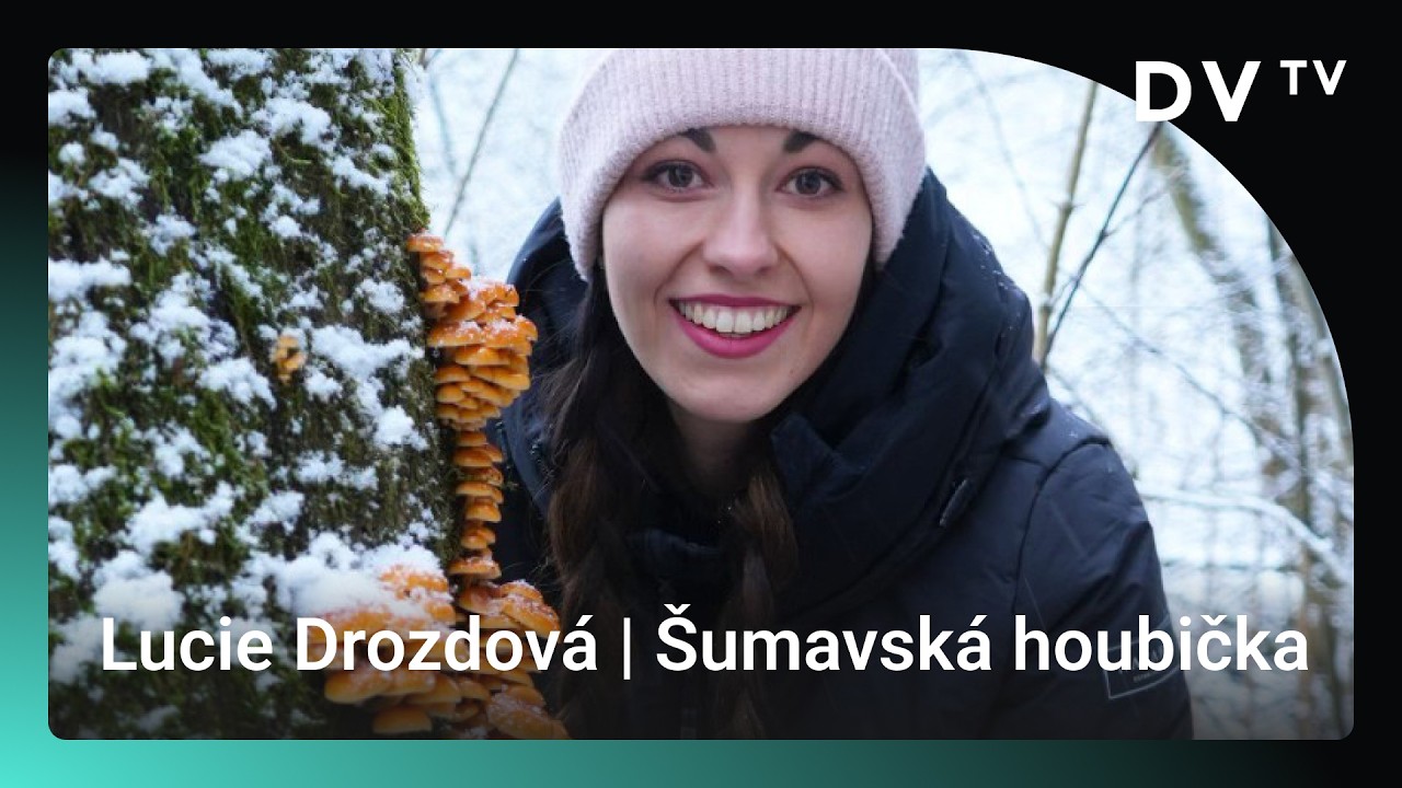 Jsme národ houbařů, ale houbám moc nerozumíme. Sbírat se dá i ve sněhu, říká Šumavská houbička