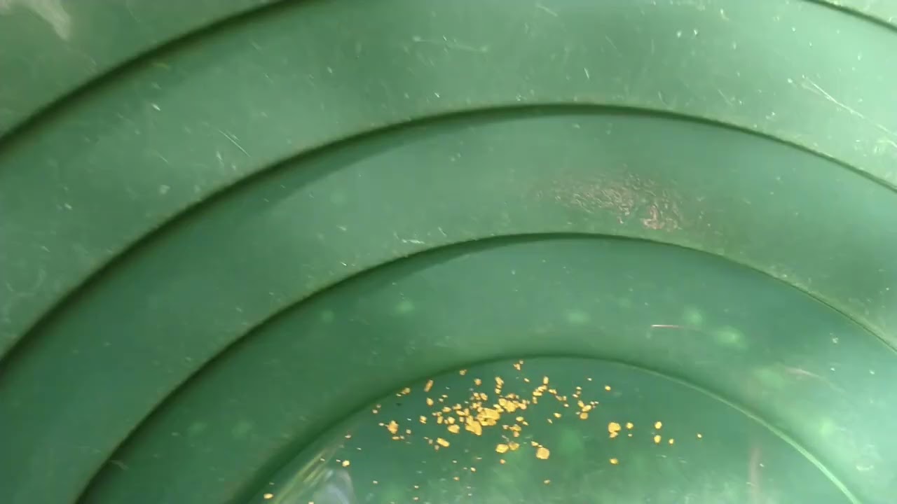 Намерих златоносен насип / I found a gold-bearing embankment!