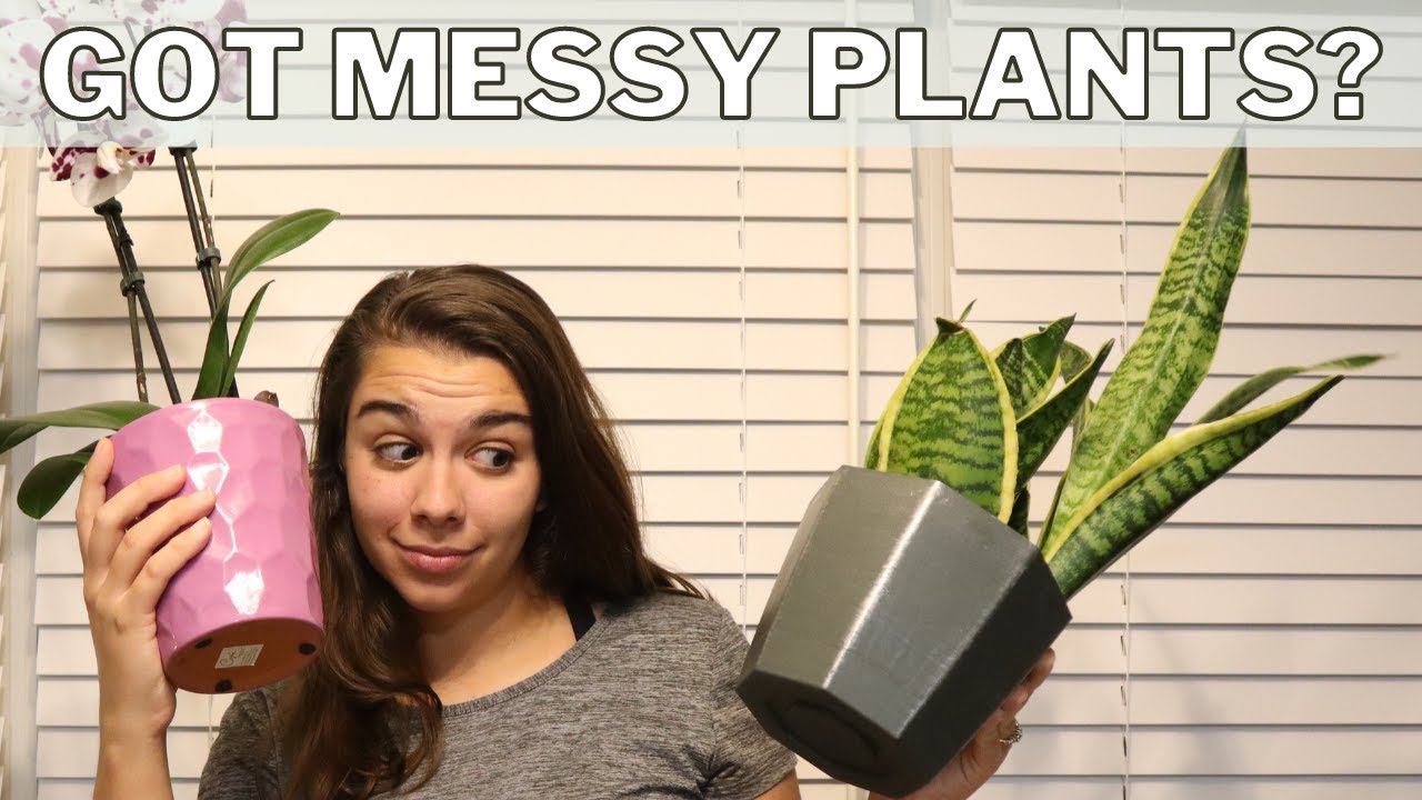 STOP the Houseplant Mess // Biggest Misconception of Houseplant Owners // NO NEED TO DRILL HOLES