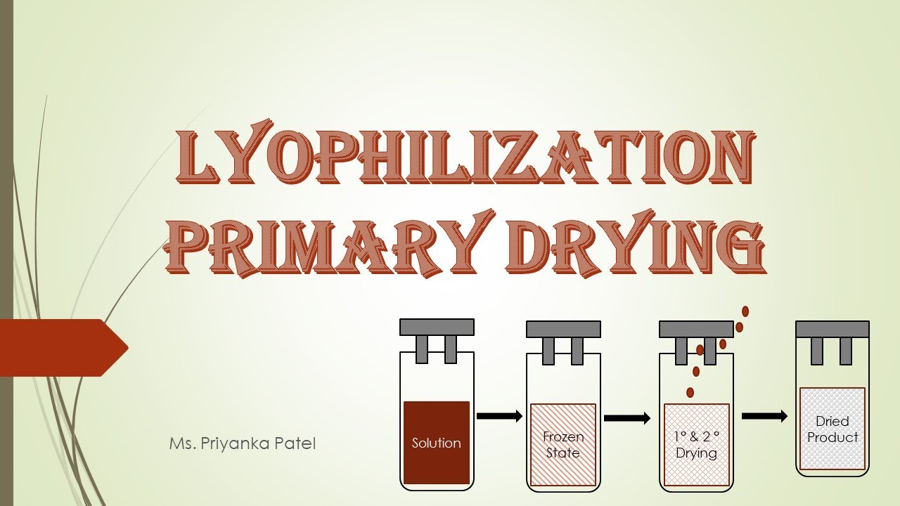 Lyophilization# Primary Drying