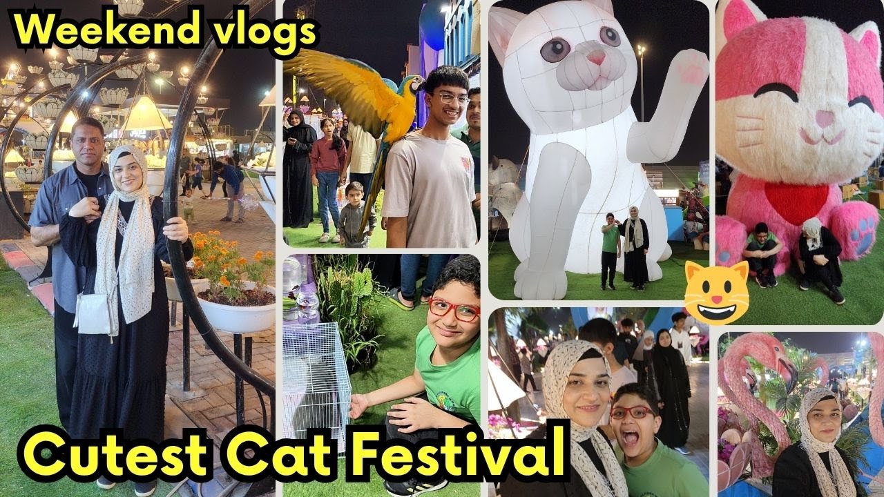 Bara hi pyara festival tha ye Cat Festival🐱 Pakistani Family Vlogs