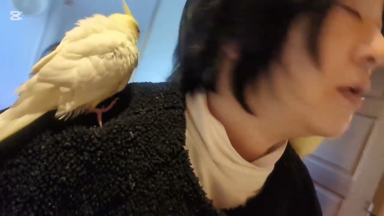 季節の変わり目で体調が…