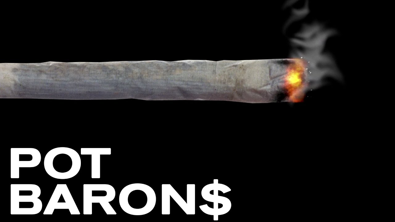 Pot Barons - New Marijuana Documentary Series on MSNBC - Teaser Trailer