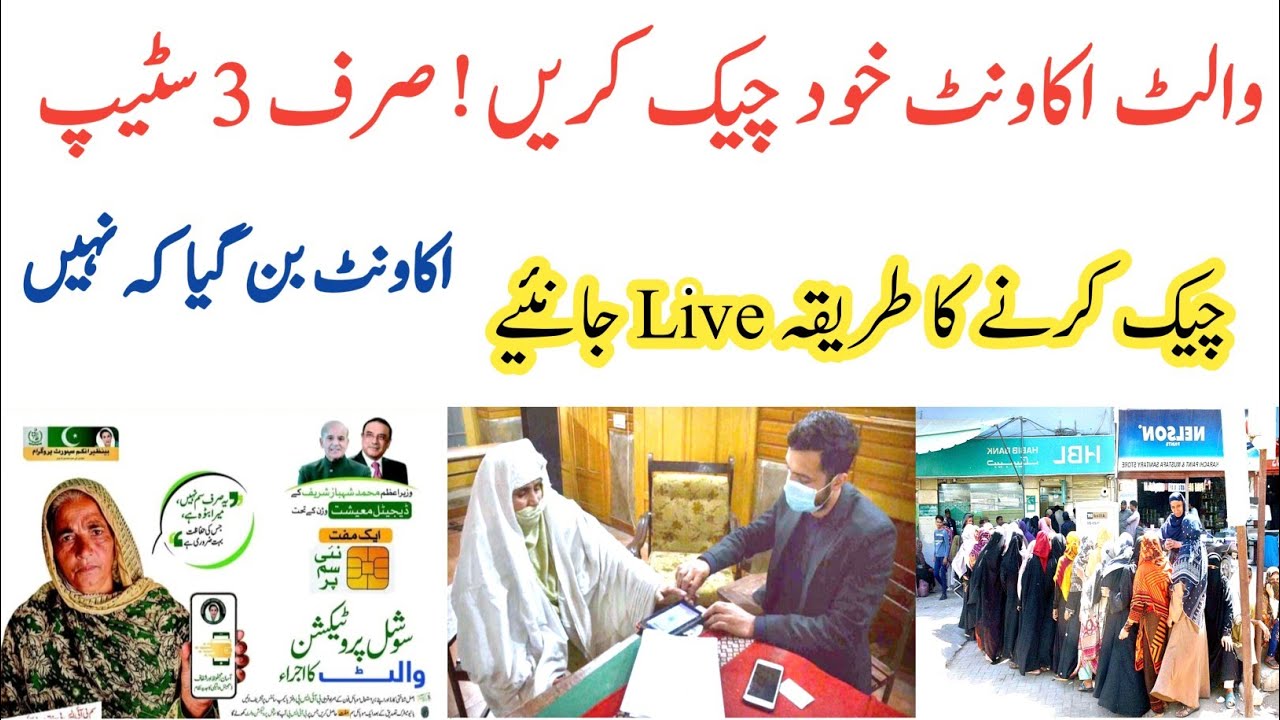 3 Steps Wallet Sim Account Check|Live Status Check Bisp|Ehsas Kfalat|8171 Update|