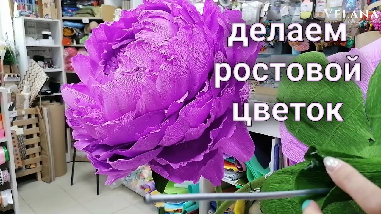 Ростовой цветок из гофрированной бумаги