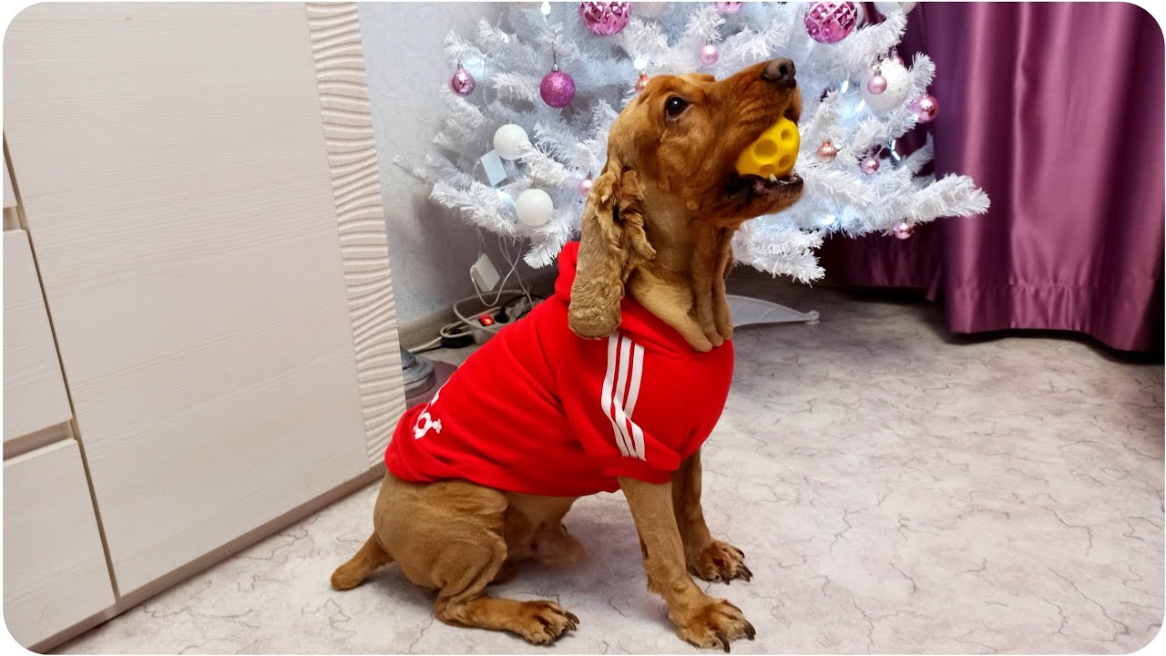 Под дверью гремит человек с лопатой! Пакеты и бутылки загрязняют планету. 