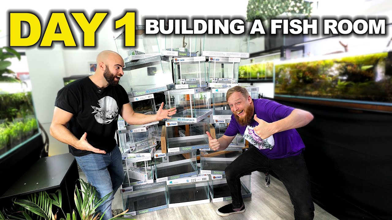Building A NEW FISH STUDIO! (day 1)