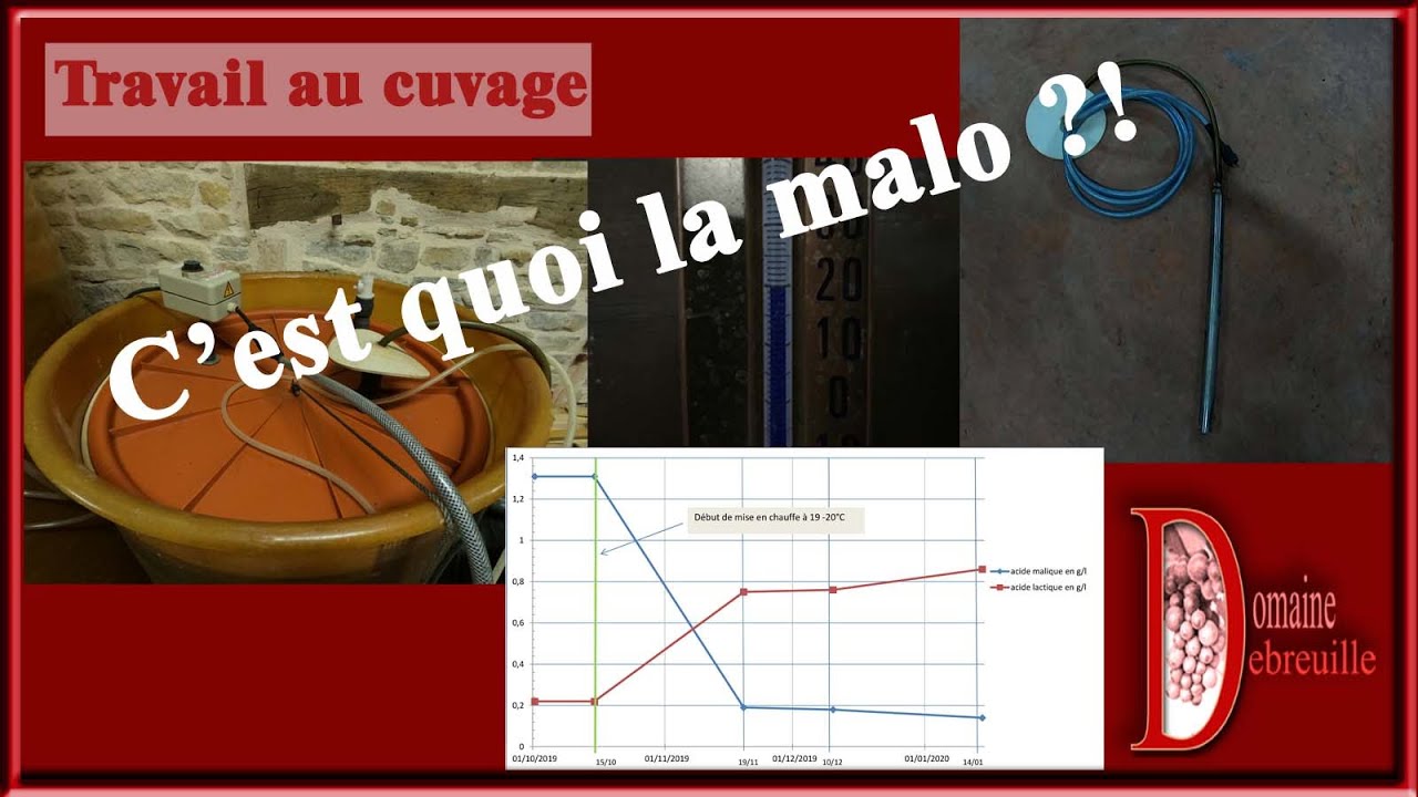 Fermentation malo-lactique / FML / malo