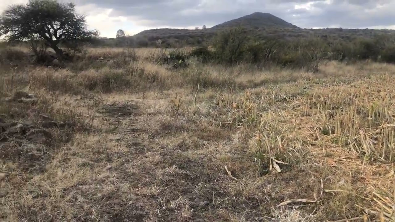 Las Ranas Michoacán: Caminando por la presa de Huatajo p.2