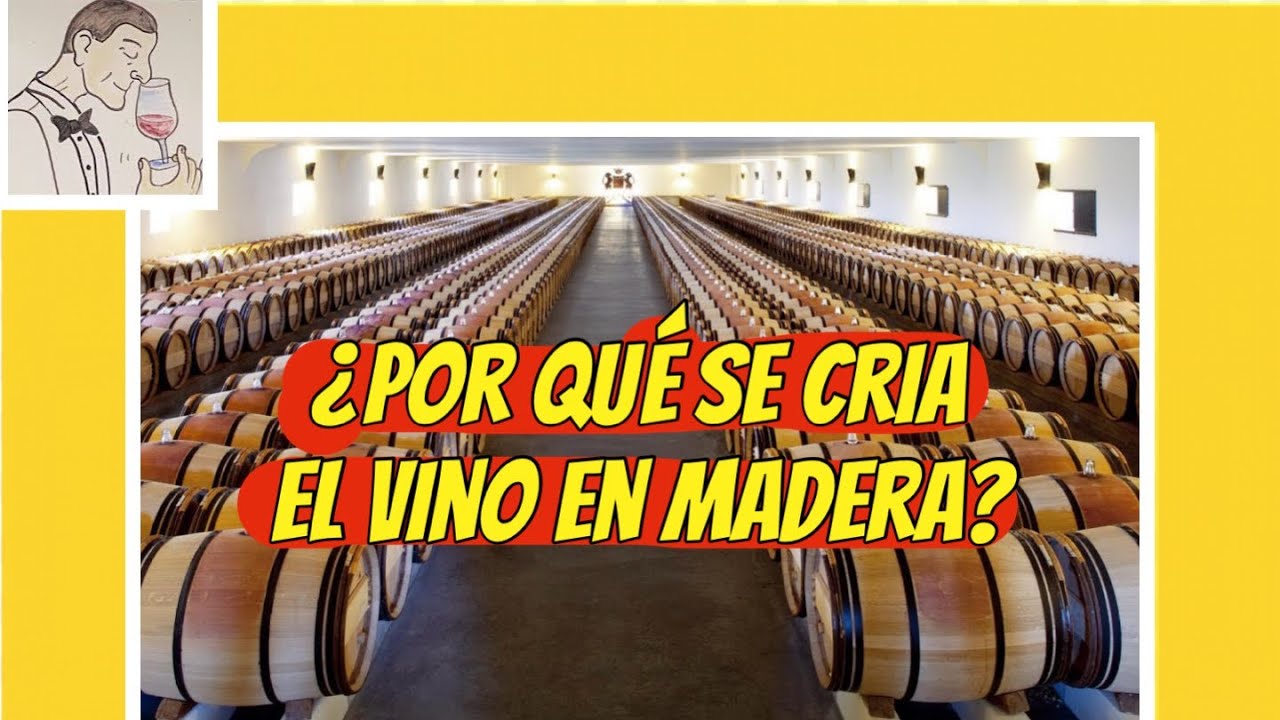 (15) POR QUÉ SE CRÍA EL VINO EN MADERA