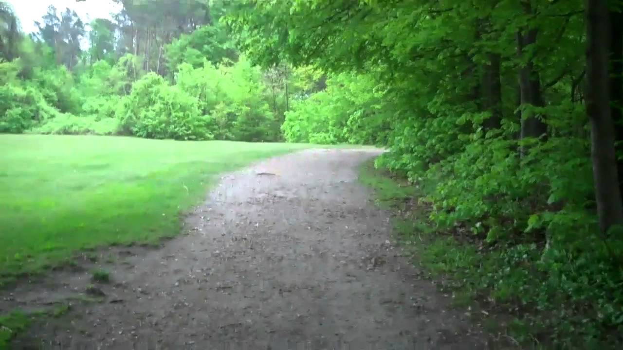 Mackworth Island