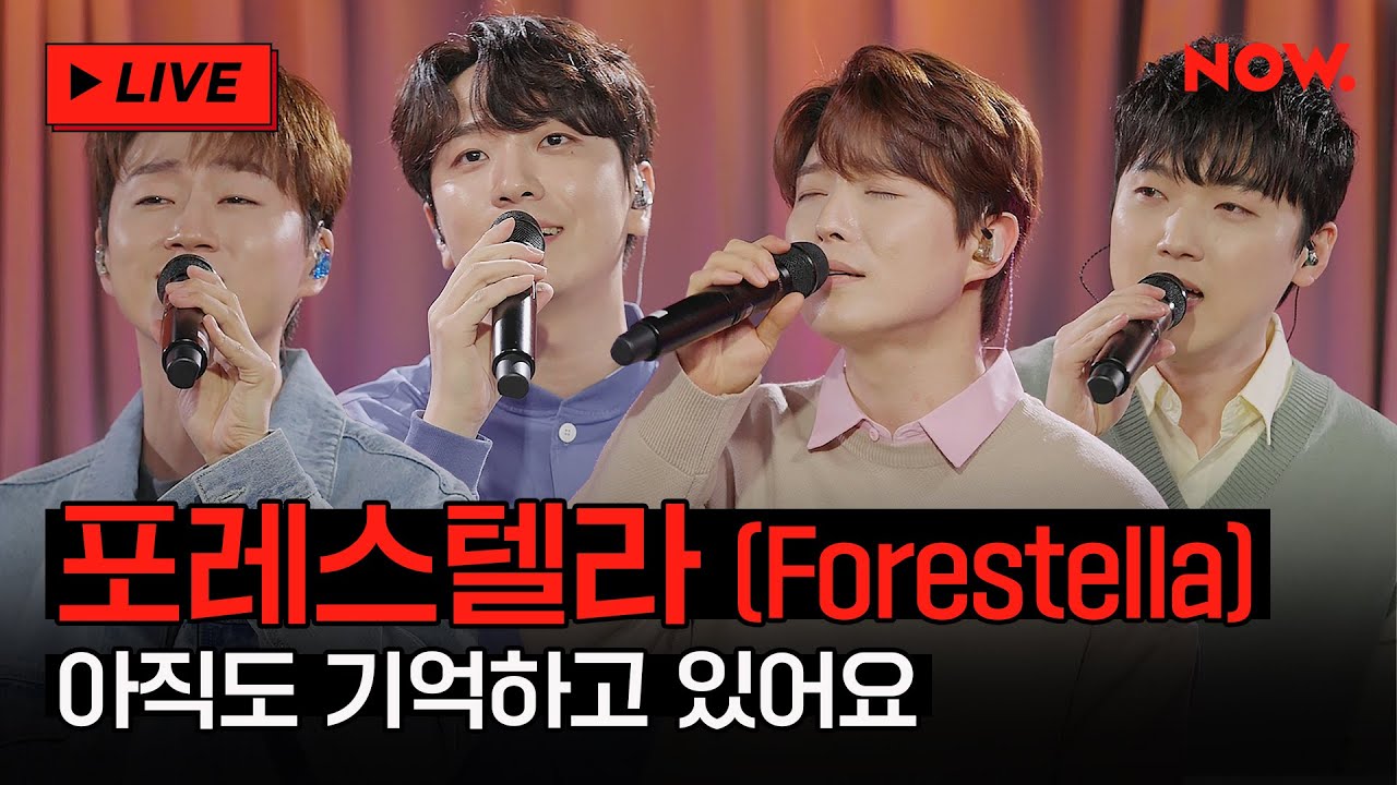 [LIVE] 포레스텔라 - '아직도 기억하고 있어요' [점심어택]ㅣ네이버 NOW.