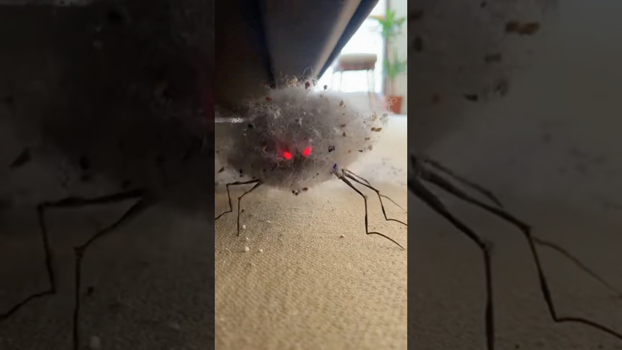Tiny Lint Monster's Confidence Was Absolutely Destroyed #catvscreature #funny #shorts