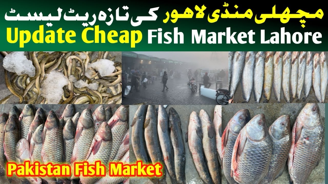 Update Pakistan Fish Market Lahore ,Lahore Machli Mandi , Today fish market rate , cheap fish market