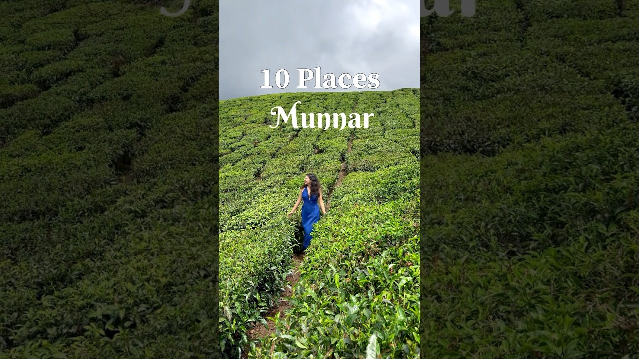 Must visit places in Munnar | Places in Kerala | Munnar Itinerary | Top Places to visit in Munnar