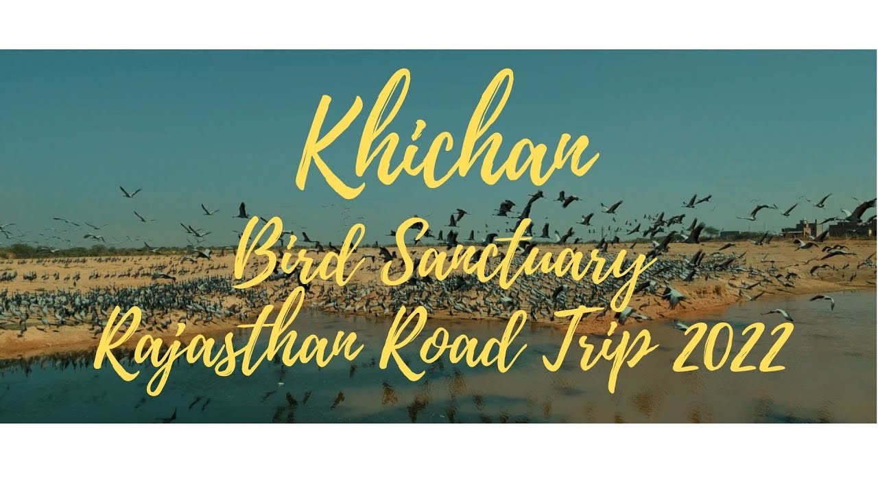 Khichan Bird Sanctuary | Phalodi | Shri Bhadariyaji Mata Temple | Rajasthan Road Trip