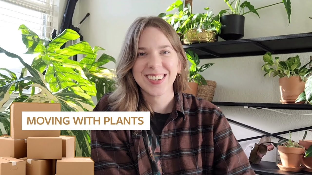 A Cross Country Move, With House Plants!