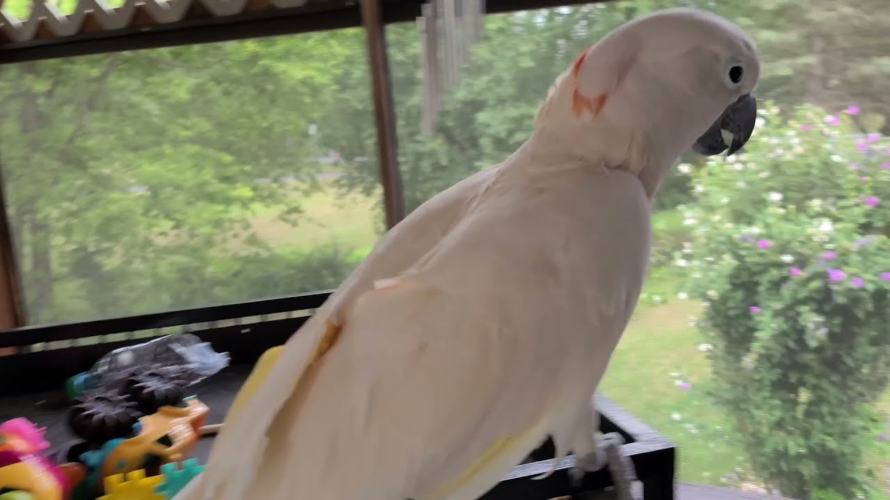 Max Gets Surprise Visitors!