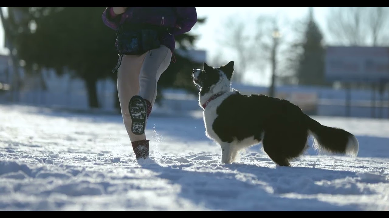 Winter time with Shelby (LisiTeam) - 4K Video