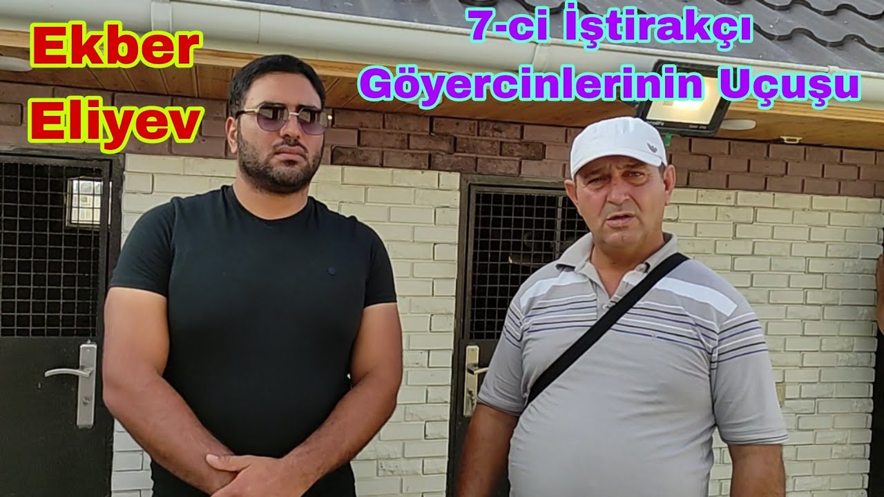 7ci Yariçi Ekber Eliyev Azərbaycan Çempionatı Bakı Goyercinleri Yarışı 23 iyul 2023