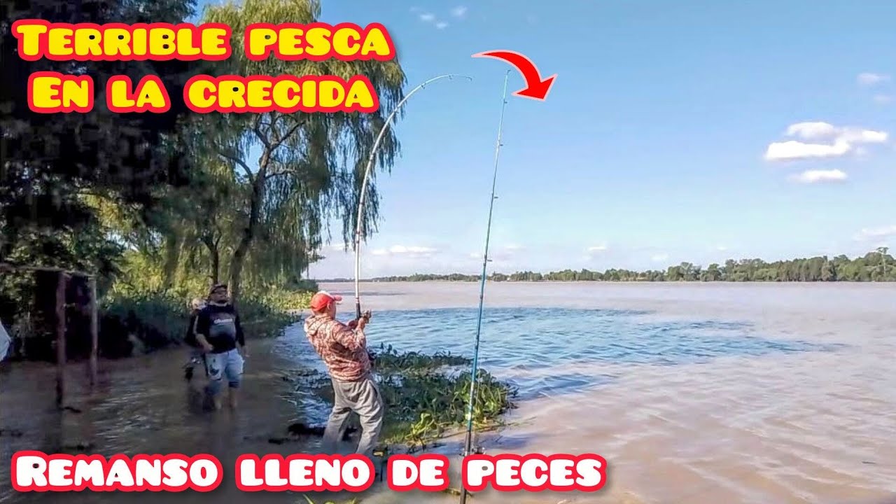 NO PUDIMOS COMER DE TANTO PIQUE !!! MUCHA PESCA Y FRITO EN ESTE REMANSO