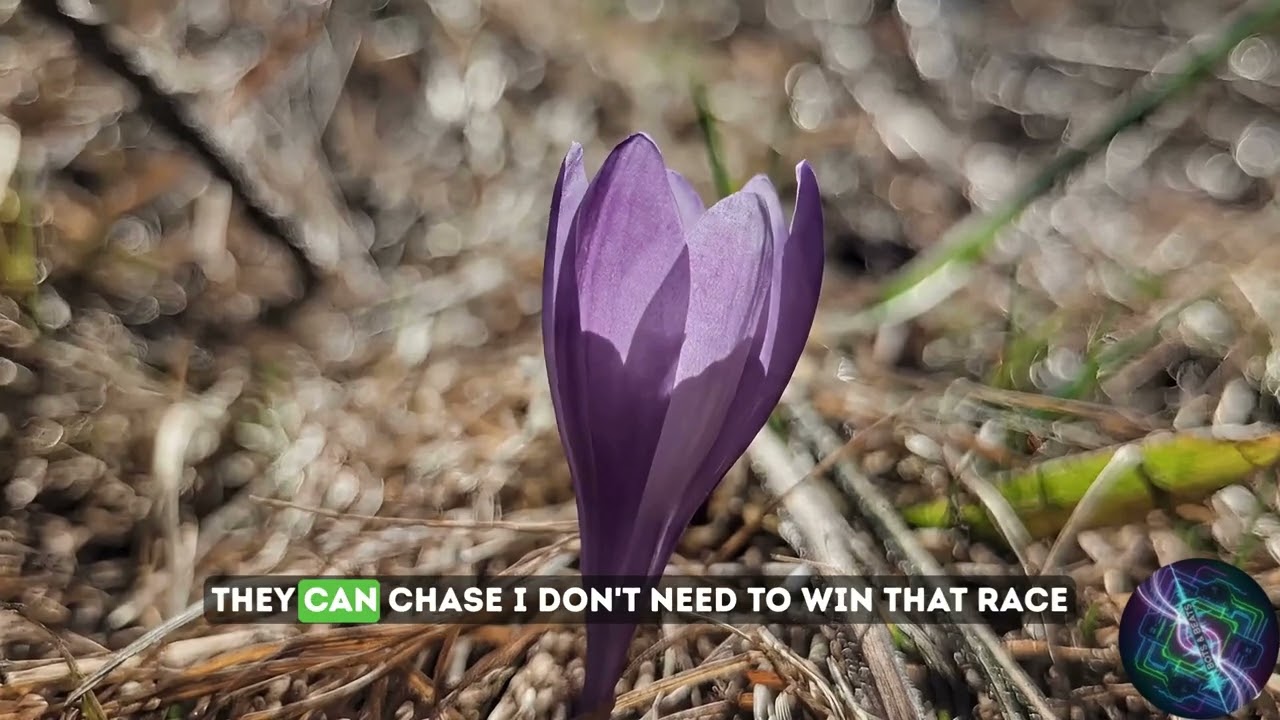 Happiness is Simple - Lyrics Video (Official) #indiemusic #uplifting #peacefulmusic